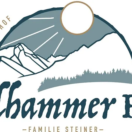 Farm stay Biobauernhof Talhammer Rohrmoos